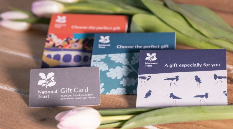 Gift Cards: The Modern Way to Give Thoughtful and Flexible Gifts Gifts
